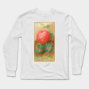 Clover (Trifolium pratense) Long Sleeve T-Shirt